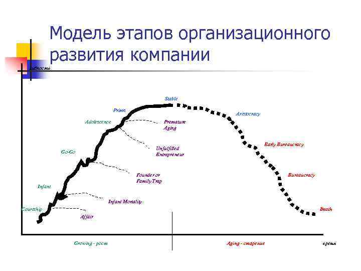 Модель этапов организационного развития компании гибкость Stable Prime Aristocracy Adolescence Premature Aging Unfulfilled Entrepreneur