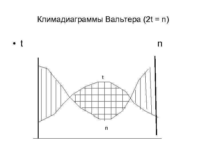 Климадиаграммы Вальтера (2 t = n) • t n 