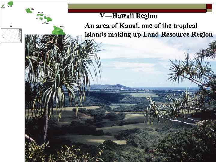 V—Hawaii Region An area of Kauai, one of the tropical islands making up Land