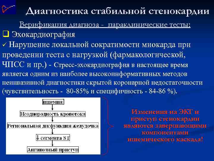 Диагностика стабильной стенокардии Верификация диагноза - параклинические тесты: q Эхокардиография ü Нарушение локальной сократимости