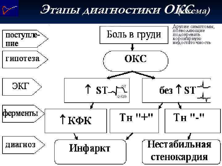 Этапы диагностики ОКС (схема) Другие симптомы, позволяющие подозревать коронарную недостаточность 