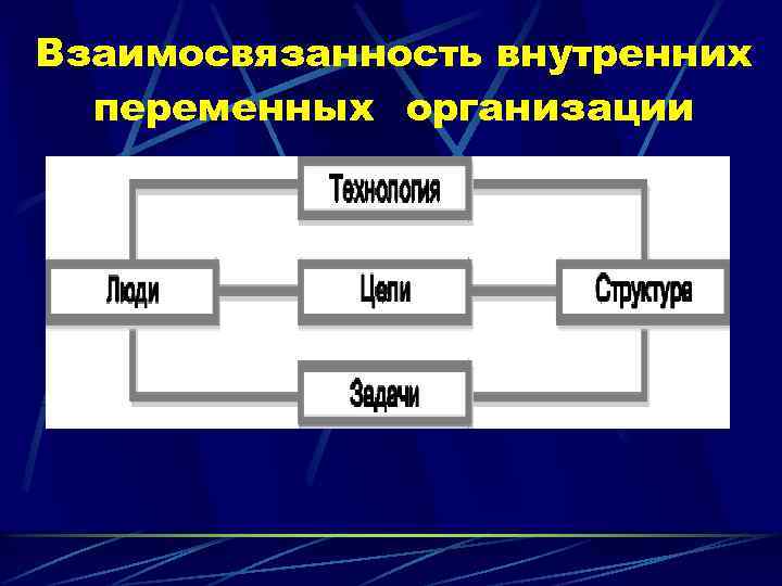 Взаимосвязанность внутренних переменных организации 