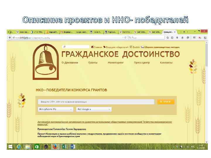 Описание проектов и ННО- победителей 