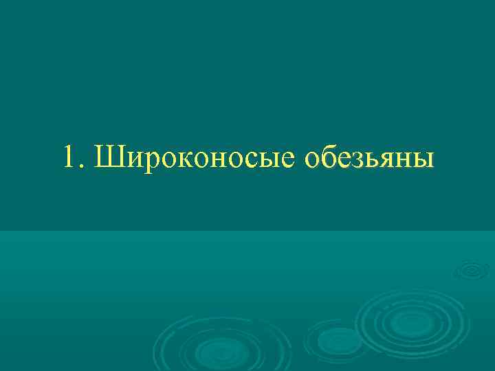 1. Широконосые обезьяны 