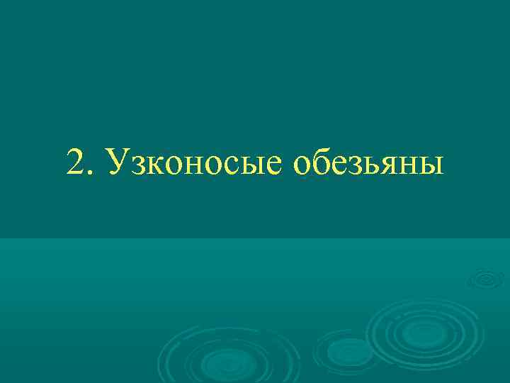 2. Узконосые обезьяны 