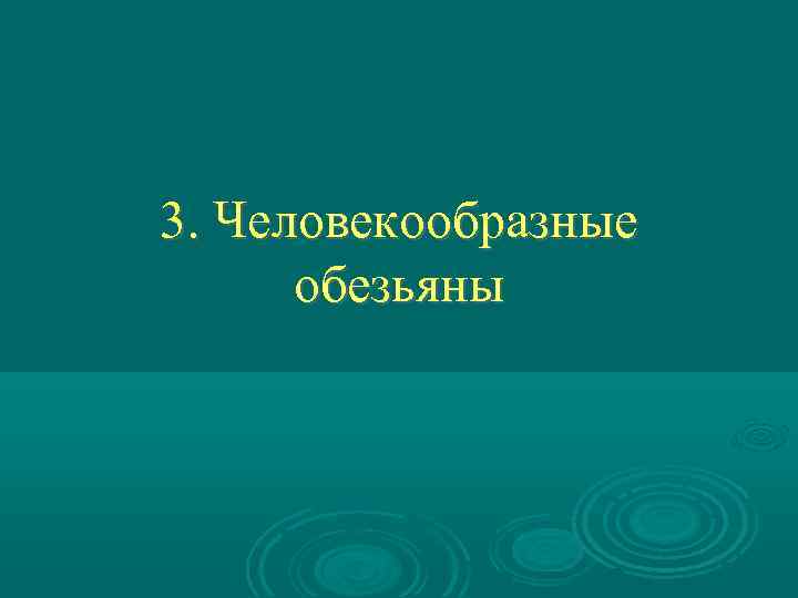 3. Человекообразные обезьяны 