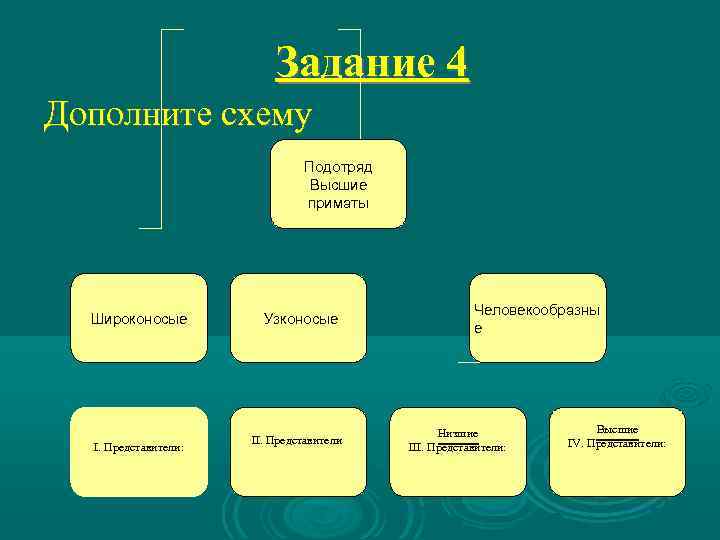 Задание 4 Дополните схему Подотряд Высшие приматы Широконосые I. Представители: Узконосые II. Представители: Человекообразны