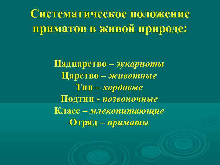 Систематическое положение приматов в живой природе: Надцарство – эукариоты Царство – животные Тип –