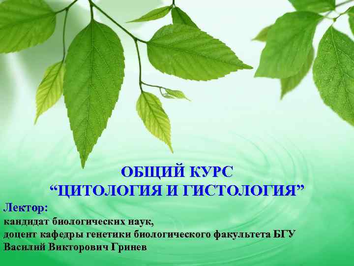 ОБЩИЙ КУРС “ЦИТОЛОГИЯ И ГИСТОЛОГИЯ” Лектор: кандидат биологических наук, доцент кафедры генетики биологического факультета