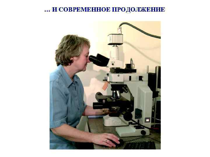 … И СОВРЕМЕННОЕ ПРОДОЛЖЕНИЕ 