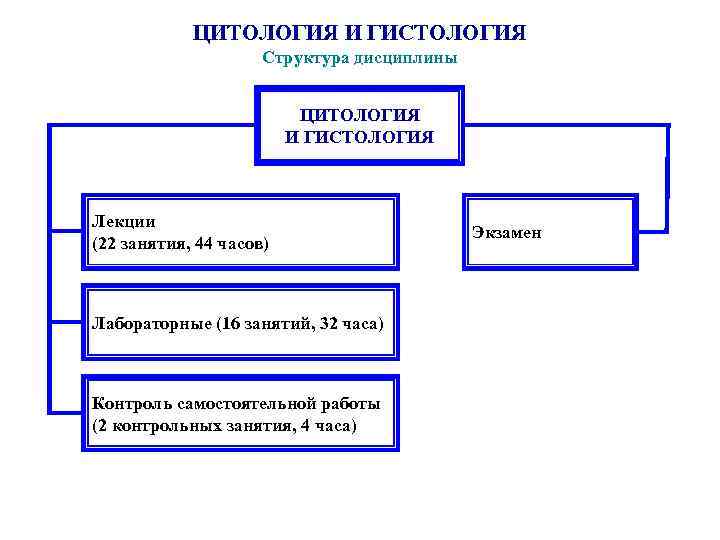 ЦИТОЛОГИЯ И ГИСТОЛОГИЯ Структура дисциплины ЦИТОЛОГИЯ И ГИСТОЛОГИЯ Лекции (22 занятия, 44 часов) Лабораторные
