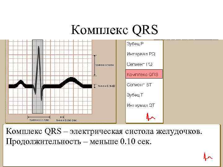 Комплекс QRS – электрическая систола желудочков. Продолжительность – меньше 0. 10 сек. 