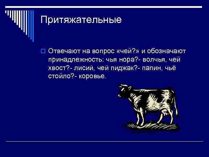 Притяжательные o Отвечают на вопрос «чей? » и обозначают принадлежность: чья нора? - волчья,