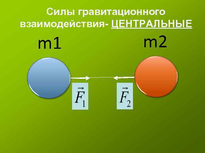 Силы гравитационного взаимодействия- ЦЕНТРАЛЬНЫЕ m 1 m 2 