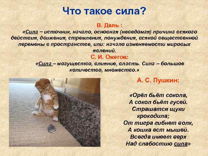 Что такое сила? В. Даль : «Сила источник, начало, основная (неведомая) причина всякого действия,