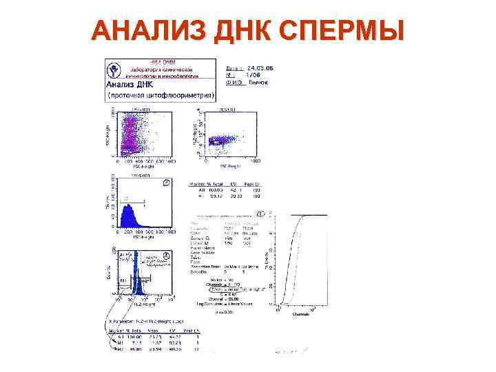 АНАЛИЗ ДНК СПЕРМЫ 