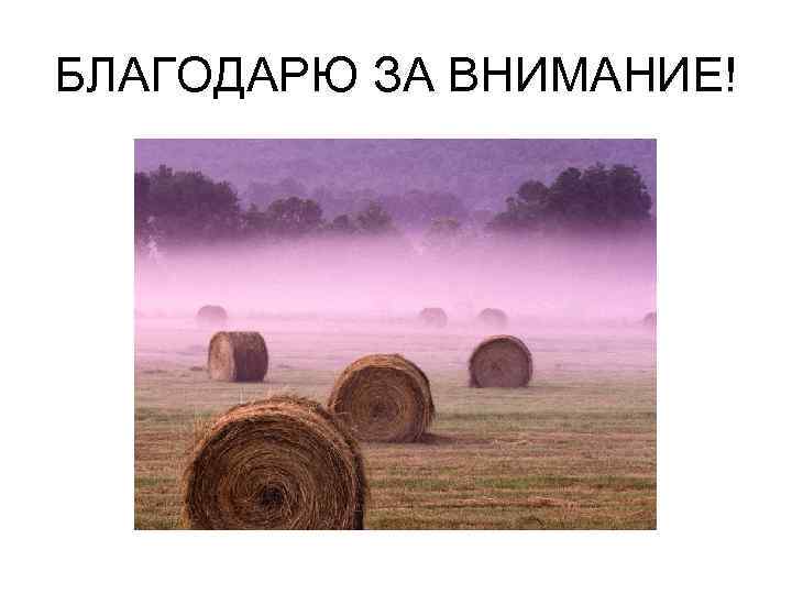 БЛАГОДАРЮ ЗА ВНИМАНИЕ! 