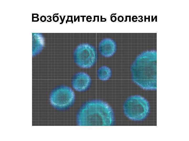 Возбудитель болезни 