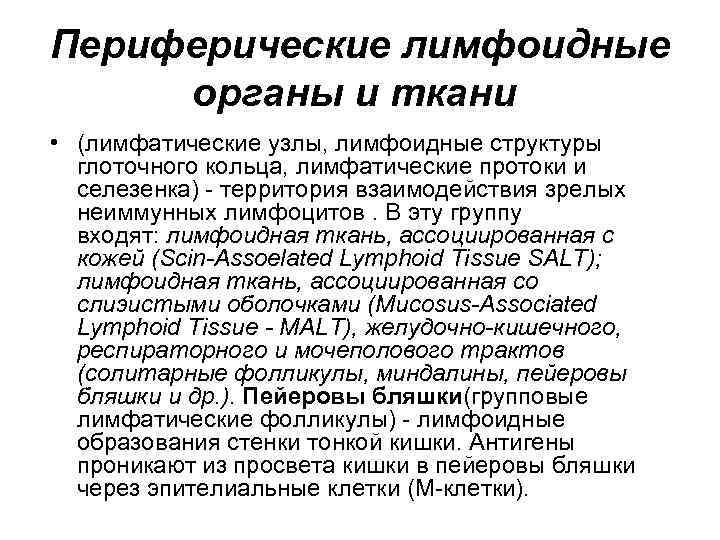 Периферические лимфоидные органы и ткани • (лимфатические узлы, лимфоидные структуры глоточного кольца, лимфатические протоки