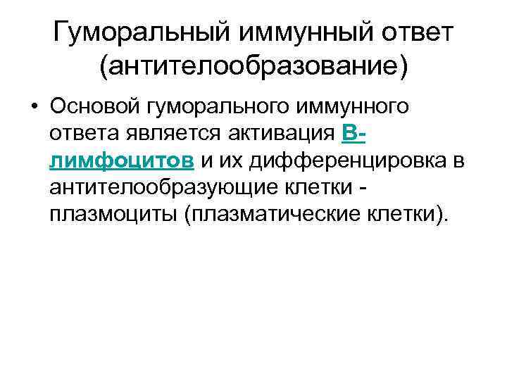Гуморальный иммунный ответ (антителообразование) • Основой гуморального иммунного ответа является активация Влимфоцитов и их