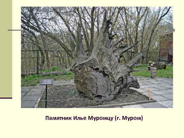 Памятник Илье Муромцу (г. Муром) 