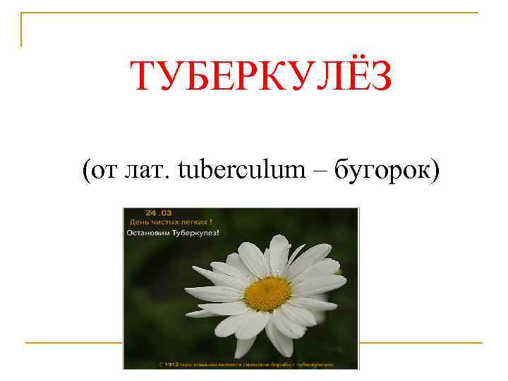 ТУБЕРКУЛЁЗ (от лат. tuberculum – бугорок) 