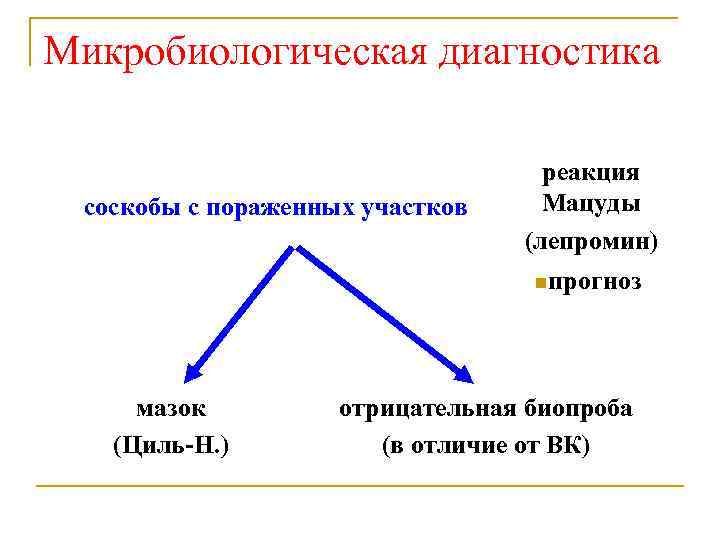 Микробиологическая диагностика соскобы с пораженных участков реакция Мацуды (лепромин) nпрогноз мазок (Циль-Н. ) отрицательная