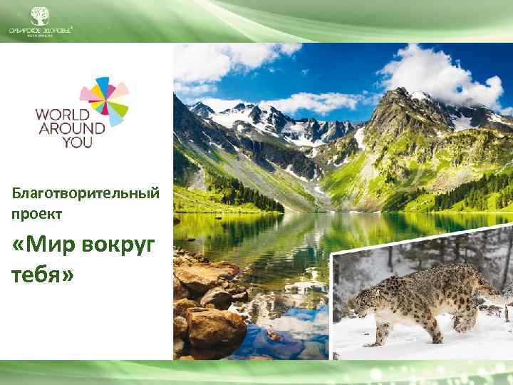 Благотворительный проект «Мир вокруг тебя» 