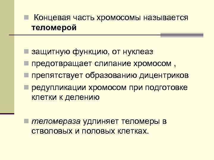 n Концевая часть хромосомы называется теломерой n защитную функцию, от нуклеаз n предотвращает слипание