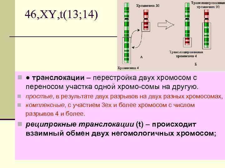 46, XY, t(13; 14) n ● транслокации – перестройка двух хромосом с переносом участка