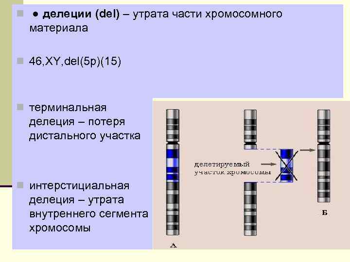 n ● делеции (del) – утрата части хромосомного материала n 46, XY, del(5 p)(15)