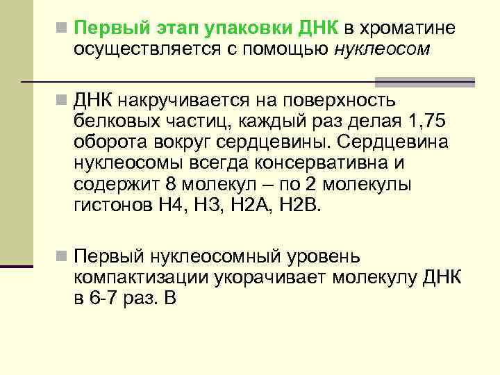 n Первый этап упаковки ДНК в хроматине осуществляется с помощью нуклеосом n ДНК накручивается