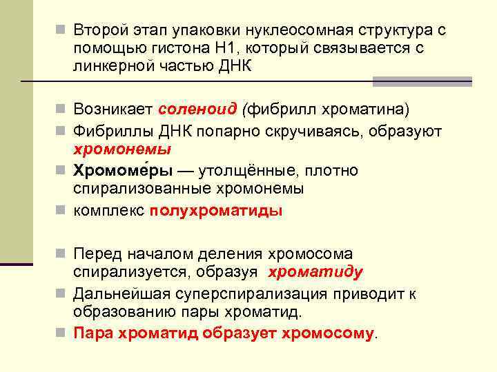 n Второй этап упаковки нуклеосомная структура с помощью гистона Н 1, который связывается с