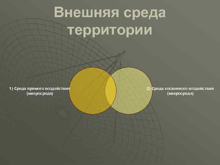 Внешняя среда территории 1) Среда прямого воздействия (микросреда) 2) Среда косвенного воздействия (макросреда) 