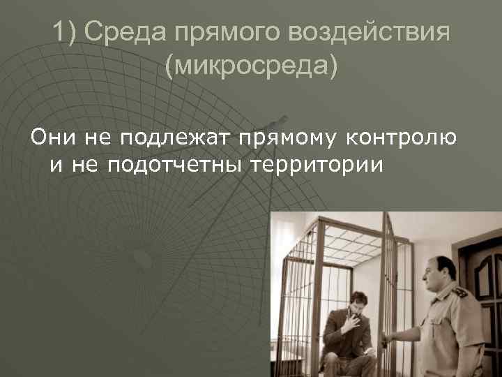 1) Среда прямого воздействия (микросреда) Они не подлежат прямому контролю и не подотчетны территории