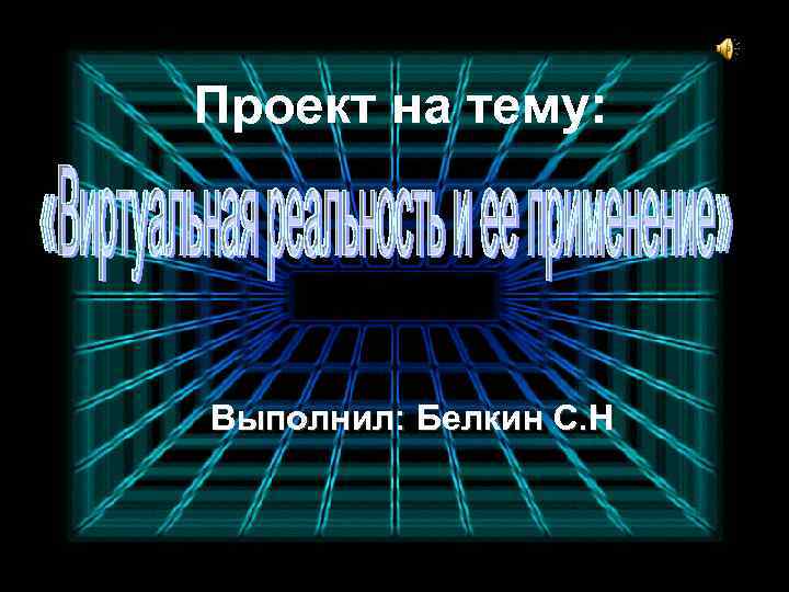 Проект на тему: Выполнил: Белкин С. Н 