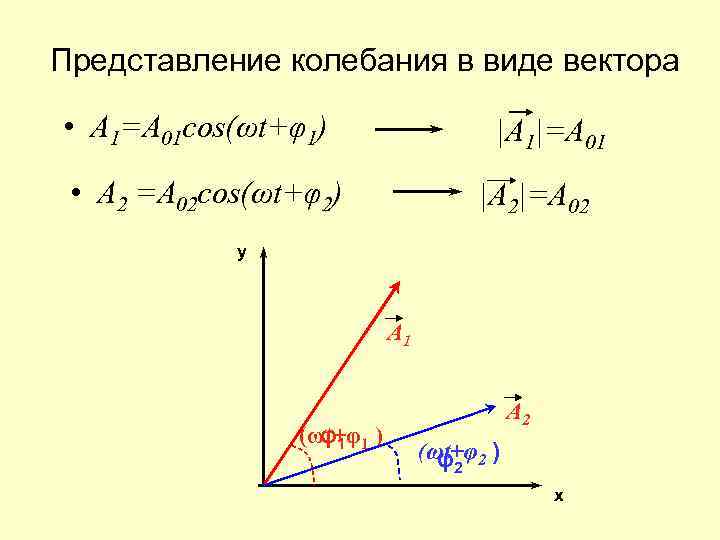 Представление колебания в виде вектора • A 1=A 01 cos(ωt+φ1) |A 1|=A 01 •