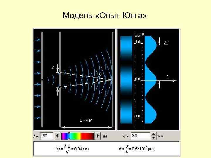 Модель «Опыт Юнга» 