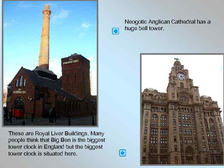 Neogotic Anglican Cathedral has a huge bell tower. These are Royal Liver Buildings. Many