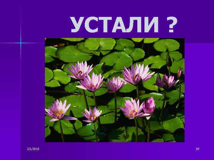 УСТАЛИ ? 2/1/2018 69 