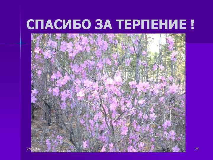 СПАСИБО ЗА ТЕРПЕНИЕ ! 2/1/2018 74 