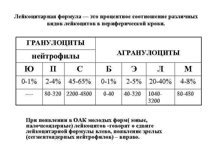 Лейкоцитарная формула — это процентное соотношение различных видов лейкоцитов в периферической крови. ГРАНУЛОЦИТЫ АГРАНУЛОЦИТЫ