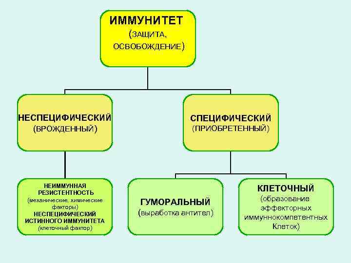 Неспецифический иммунитет