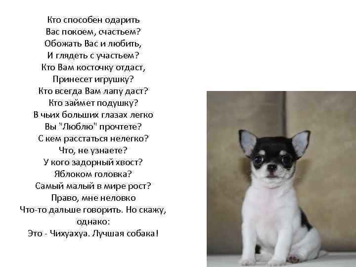 Кто способен одарить Вас покоем, счастьем? Обожать Вас и любить, И глядеть с участьем?