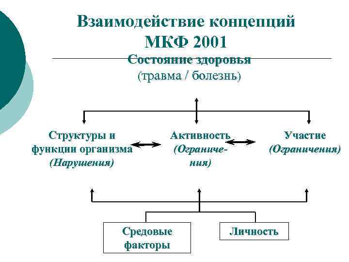 Взаимодействие концепций МКФ 2001 Состояние здоровья (травма / болезнь) Структуры и функции организма (Нарушения)