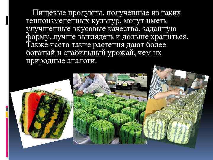  Пищевые продукты, полученные из таких генноизмененных культур, могут иметь улучшенные вкусовые качества, заданную