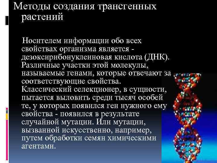 Методы создания трансгенных растений Носителем информации обо всех свойствах организма является дезоксирибонуклеиновая кислота (ДНК).