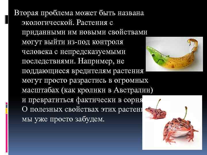 Вторая проблема может быть названа экологической. Растения с приданными им новыми свойствами могут выйти