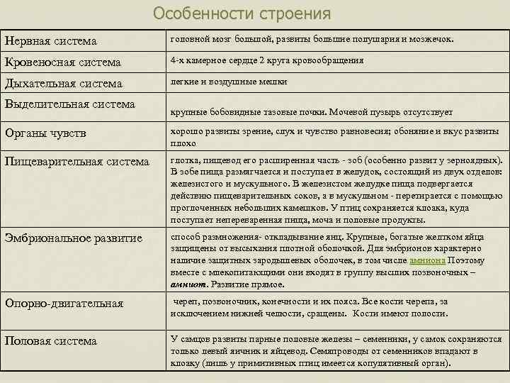 Особенности строения Нервная система головной мозг большой, развиты большие полушария и мозжечок. Кровеносная система