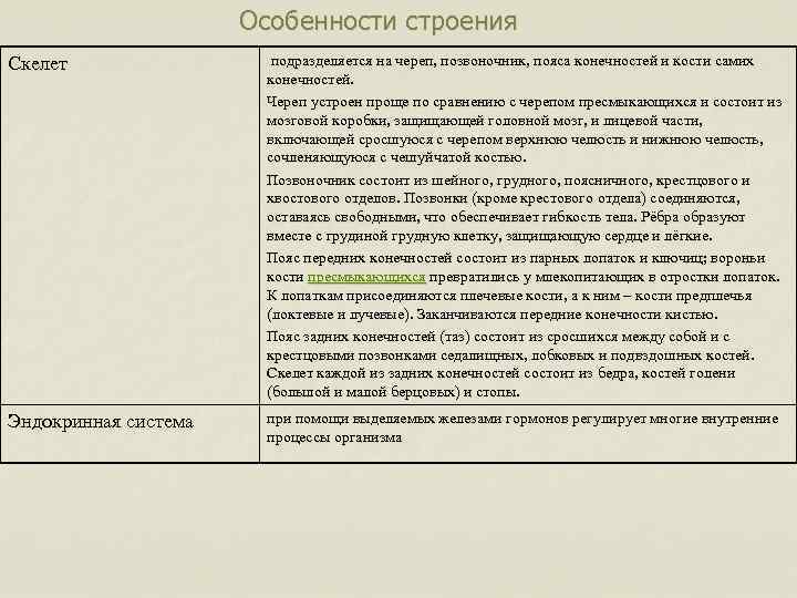 Особенности строения Скелет подразделяется на череп, позвоночник, пояса конечностей и кости самих конечностей. Череп